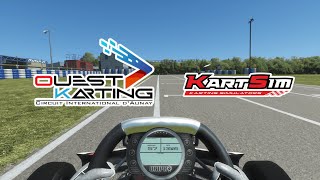 Essay  IAME Mini 60  KartSim Pro EU Simulation Software [upl. by Ecnerewal922]