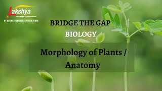 Plants Families  Morphology of Plants  Class 11 Biology  NEET  Lakshya [upl. by Booze867]