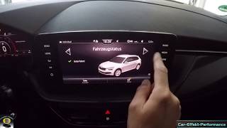 Skoda KAMIQ Review InfortainmentSystem Amundsen Navi Bedienbarkeit Tipps amp Tricks Infos [upl. by Zischke834]