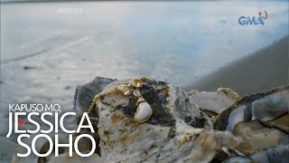 Kapuso Mo Jessica Soho Perlas sa talaba [upl. by Annairda509]