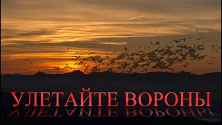 Улетайте Вороны в исполнении АМиляева и АСтрижакова  видеоклип группы Тезки [upl. by Ileak]