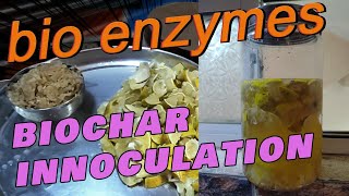 Bio Enzyme Preparation for Biochar Inoculation [upl. by Nymassej159]