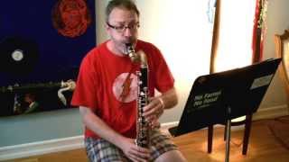 So you want to be a Bass Clarinet player Rose Etude 1 From 40 Etudes [upl. by Gerda414]