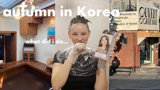 autumn in Korea ☕️ I colored my hair girls trip to the mountains starting therapy amp cozy cafes [upl. by Adiana]