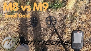 Minelab Manticore M8 vs M9 on Small Gold Nuggets [upl. by Jain]