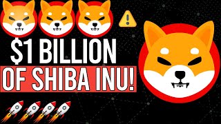 HUGE WHALE BOUGHT 1 BILLION DOLLARS WORTH OF SHIBA INU TOKENS  EXPLAINED [upl. by Ykroc71]