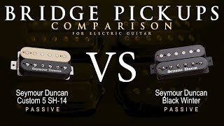 Seymour Duncan CUSTOM 5 SH14 vs BLACK WINTER  Bridge Guitar Pickup Comparison Tone Demo [upl. by Asiulairam]