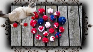 DIY 😻 Knoten Wurf Ball für Katzen amp Hunde  Knotball for Cats amp Dogs [upl. by Ludlow]