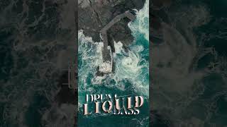 ❤️ Liquid Drum and Bass Classics  Liquid Bass for Your Soul  Best DnB Tracks 2024 ❤️ [upl. by Ahsinrev317]