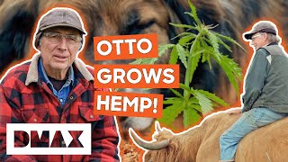 Otto Kilcher Grows Hemp On The Homestead  Alaska The Last Frontier [upl. by Eads]