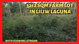 3212 sqm Farm Lot in Liliw Laguna for Sale Lot Code 2406 [upl. by Attennaj658]