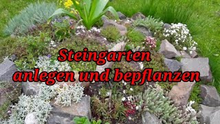 Steingarten anlegen bepflanzen und pflegen Sukkulenten sind optimal [upl. by Lustig604]