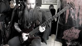 The Claypool Lennon Delirium  quotSouth Of Realityquot Bass Cover [upl. by Kinch]