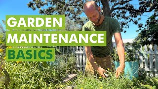 Free Seed Project Garden Maintenance Basics Part 8 [upl. by Prochora]