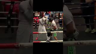 Shakur Stevenson  Sparring  Combo boxing [upl. by Viscardi]