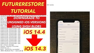 Restore iPhone to Unsigned iOS Versions  FutureRestore Tutorial 2021  MacOSWindowsUbuntu [upl. by Esertal]