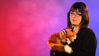 Folkmanis® Red Fox Puppet Demo [upl. by Zhang981]