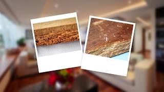 How to Get Rid of Borer and Protect Wood from Borer Damage [upl. by Tutto]