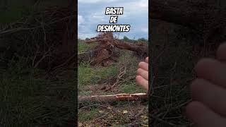 BASTA DE DESMONTES COMPARTÍ [upl. by Garreth]