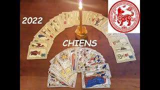 🐶Chiens signe astrologique chinois pour lannée 2022🐶 [upl. by Eddi]