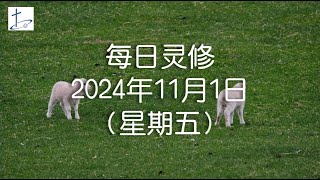 每日灵修2024年11月1日（星期五）腓立比书4章15至17节 English translation in description box [upl. by Tani]