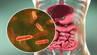 Microorganisms and Humans Commensal and Pathogenic Flora [upl. by Daniala]