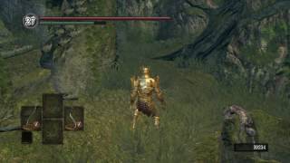 Moveswap  Dark Souls glitch [upl. by Pelletier449]