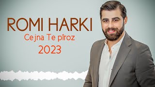 Romi Harki  Cejna Te Pîroz [upl. by Brogle]