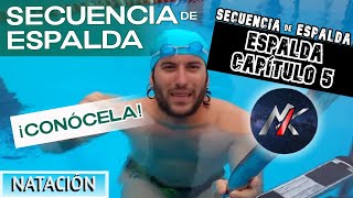 🏊 ESPALDA 🦀 Capítulo 5 SECUENCIA de ESPALDA 🕑 Estilos de Natación [upl. by Gnous597]