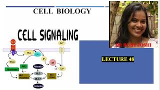 Cell Signaling Lecture48 Cell Biology Mode of Signaling NFkB pathway Wnt Signaling [upl. by Ahsaela]