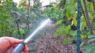 Foliar Spray Plant Fertilization  How When amp Why [upl. by Cila]