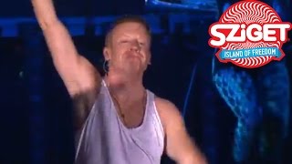 Macklemore amp Ryan Lewis Live  Cant Hold Us  Sziget 2014 [upl. by Mayce]