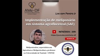 Instalação de meliponário em sistema agroflorestal SAF [upl. by Niabi]