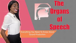 The Organs Of Speech And Their Functions Lesson 1 Everything You Need To Know  Speech Production [upl. by Naivatco845]