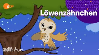 Lied Schleiereule  LÖWENZÄHNCHEN  ZDFchen [upl. by Roque]