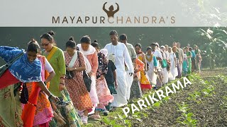 Mayapur Chandras Parikrama English documentary [upl. by Kauffman653]