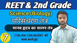 हृदय का चालन तंत्रसंवहन तंत्र Conducting system of heart circulatorysystem reet 2ndgrade [upl. by Adnoryt300]