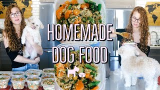 HOMEMADE  HEALTHY DOG FOOD RECIPE  COOKING FOR YOUR DOG🐶 [upl. by Nelleeus209]