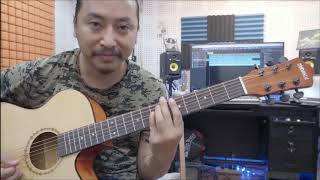 🎸Manaslu Atal SemiAcoustic Guitar  Review by Dev Lama  Manaslu Guitar [upl. by Sladen]