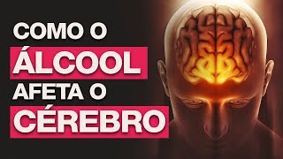 Como o Álcool Afeta o Cérebro  VÍCIOS Ep 04 [upl. by Burdelle]