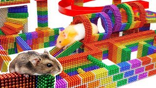 DIY  Build Fantastic Maze For Hamsters Pet From Magnetic Balls Satisfying  Magnet Balls [upl. by Ondrej]