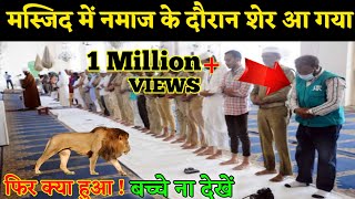 नमाज़ के दौरान शेर आ गया  Lion Come To Mosque  Junaid Aalam [upl. by Preciosa413]