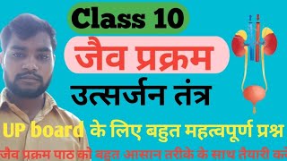 Class10 science उत्सर्जन तंत्र excretion in human beings excretion biology life processes [upl. by Urbani]