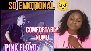 GenZ react to Pink Floyd  Comfortably numb pulse [upl. by Alemrac61]