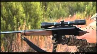 Browning BLR Rifle Overview [upl. by Ellehsad]