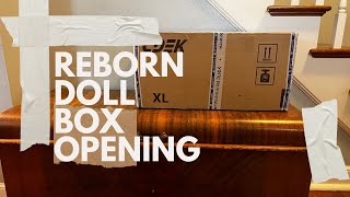 Reborn Doll Box Opening  Nursery Updates reborn rebornbaby rebornboxopening [upl. by Ayekim]