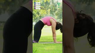 Marjariasana CatCow Pose for Beginners Best Pose for Spine Flexibility and Relaxation yoga [upl. by Veron]