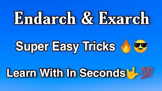 Endarch amp Exarch Conditions Super Easy Tricks  Anatomy Of Flowering Plants [upl. by Marianna445]