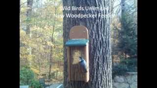 Wild Birds Unlimited  TreeNutty® Woodpecker Feeder [upl. by Aneehsyt]