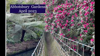 Abbotsbury Gardens Dorset in April 2023 [upl. by Ing474]